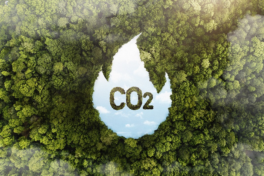 ¿Qué es la descarbonización y por qué es esencial para el futuro del planeta? CO2 y descarbonización