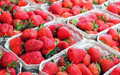Imágen de fresas en envases reciclables