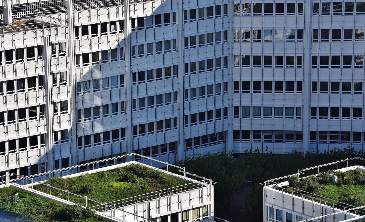 Las ciudades inteligentes implementan techos verdes como estrategia para mitigar el calor urbano Techos verdes en edificios